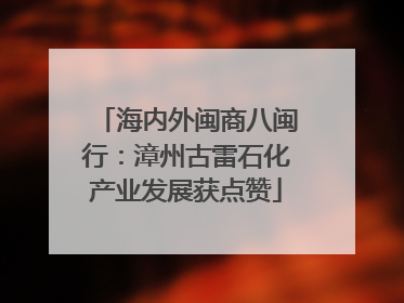 海内外闽商八闽行：漳州古雷石化产业发展获点赞