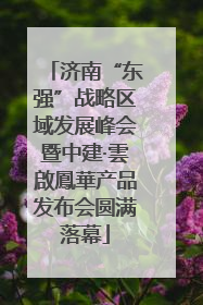济南“东强”战略区域发展峰会暨中建·雲啟鳳華产品发布会圆满落幕