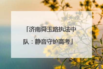 济南舜玉路执法中队：静音守护高考