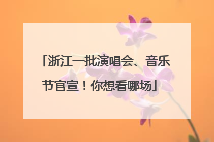 浙江一批演唱会、音乐节官宣！你想看哪场