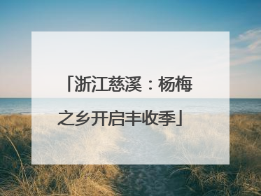 浙江慈溪：杨梅之乡开启丰收季