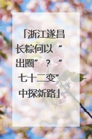浙江遂昌长粽何以“出圈”？“七十二变”中探新路