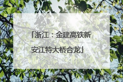 浙江：金建高铁新安江特大桥合龙