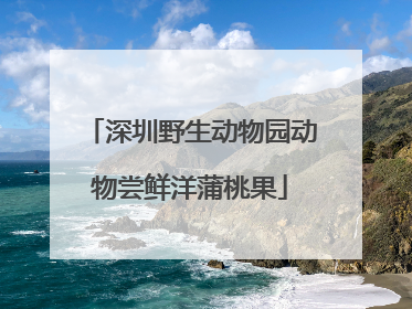 深圳野生动物园动物尝鲜洋蒲桃果