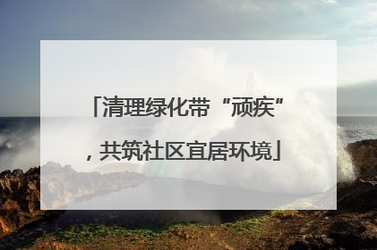 清理绿化带“顽疾”，共筑社区宜居环境