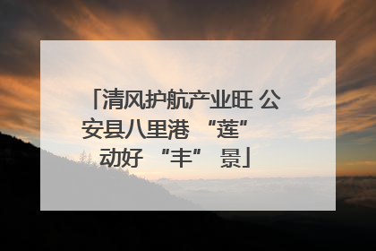清风护航产业旺 公安县八里港 “莲” 动好 “丰” 景