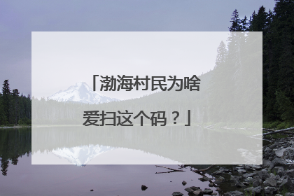 渤海村民为啥爱扫这个码？