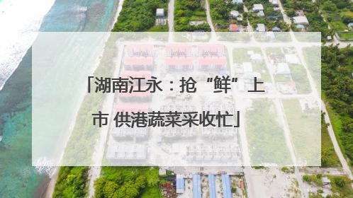 湖南江永：抢“鲜”上市 供港蔬菜采收忙