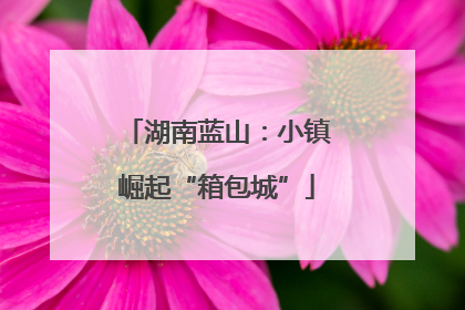 湖南蓝山：小镇崛起“箱包城”