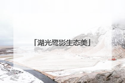 湖光鹭影生态美