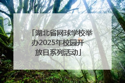 湖北省网球学校举办2025年校园开放日系列活动