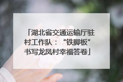 湖北省交通运输厅驻村工作队：“铁脚板”书写龙凤村幸福答卷