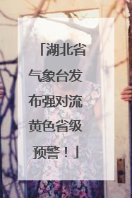 湖北省气象台发布强对流黄色省级预警！