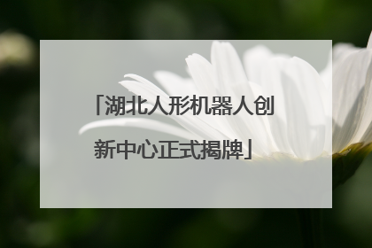 湖北人形机器人创新中心正式揭牌