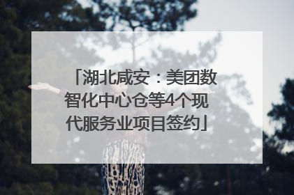 湖北咸安：美团数智化中心仓等4个现代服务业项目签约