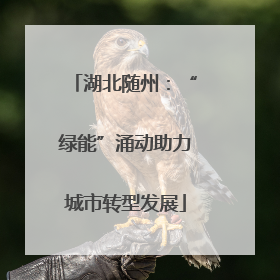 湖北随州：“绿能”涌动助力城市转型发展