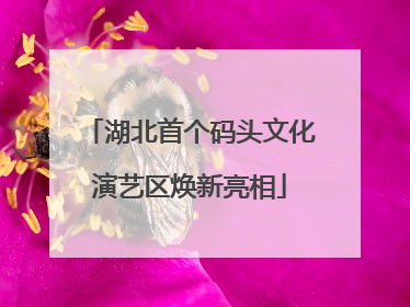 湖北首个码头文化演艺区焕新亮相