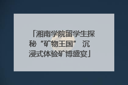 湘南学院留学生探秘“矿物王国” 沉浸式体验矿博盛宴