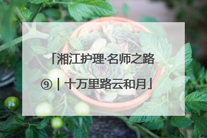 湘江护理·名师之路⑨｜十万里路云和月