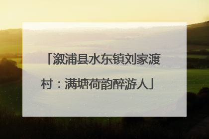 溆浦县水东镇刘家渡村：满塘荷韵醉游人