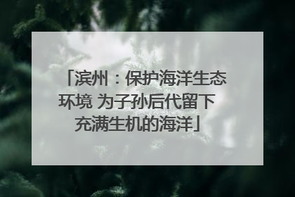 滨州：保护海洋生态环境 为子孙后代留下充满生机的海洋