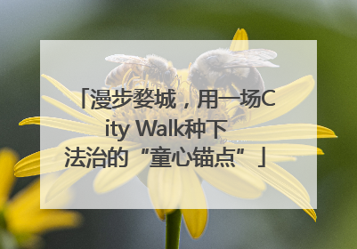 漫步婺城，用一场City Walk种下法治的“童心锚点”