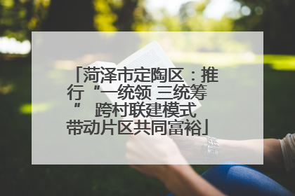 菏泽市定陶区：推行“一统领 三统筹” 跨村联建模式 带动片区共同富裕