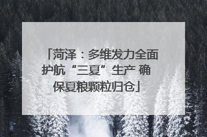 菏泽：多维发力全面护航“三夏”生产 确保夏粮颗粒归仓