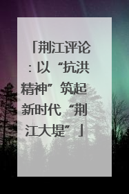 荆江评论：以“抗洪精神”筑起新时代“荆江大堤”