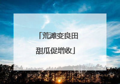 荒滩变良田 甜瓜促增收