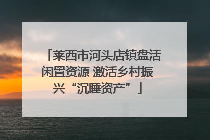 莱西市河头店镇盘活闲置资源 激活乡村振兴“沉睡资产”