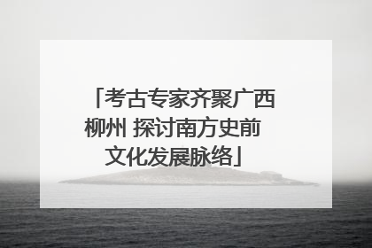 考古专家齐聚广西柳州 探讨南方史前文化发展脉络