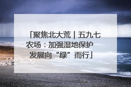 聚焦北大荒｜五九七农场：加强湿地保护 发展向“绿”而行
