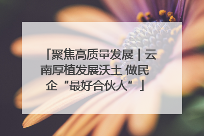 聚焦高质量发展｜云南厚植发展沃土 做民企“最好合伙人”