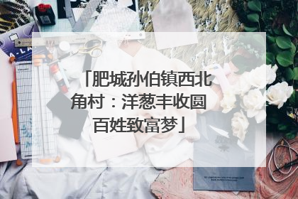肥城孙伯镇西北角村：洋葱丰收圆百姓致富梦