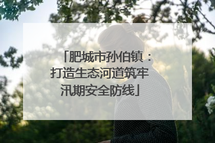 肥城市孙伯镇：打造生态河道筑牢汛期安全防线