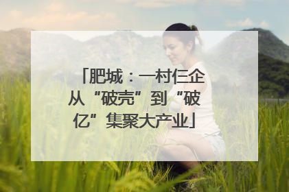 肥城：一村仨企从“破壳”到“破亿”集聚大产业