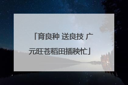 育良种 送良技 广元旺苍稻田插秧忙