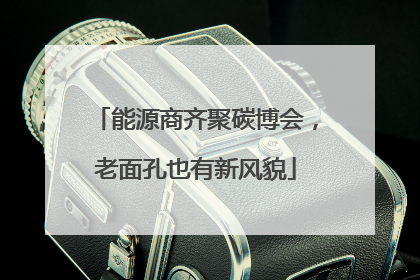 能源商齐聚碳博会，老面孔也有新风貌