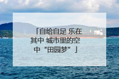 自给自足 乐在其中 城市里的空中“田园梦”