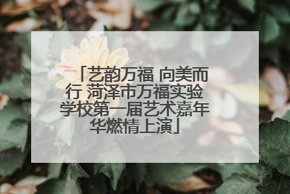 艺韵万福 向美而行 菏泽市万福实验学校第一届艺术嘉年华燃情上演