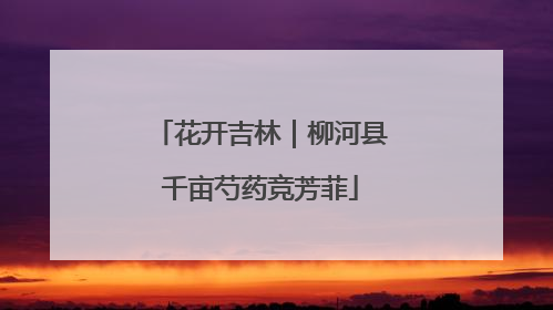 花开吉林｜柳河县千亩芍药竞芳菲