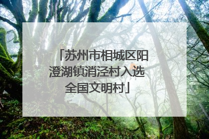 苏州市相城区阳澄湖镇消泾村入选全国文明村