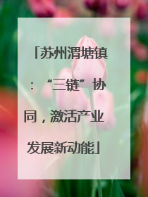 苏州渭塘镇：“三链”协同，激活产业发展新动能