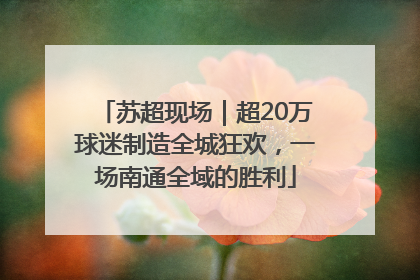 苏超现场｜超20万球迷制造全城狂欢，一场南通全域的胜利