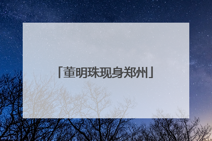 董明珠现身郑州