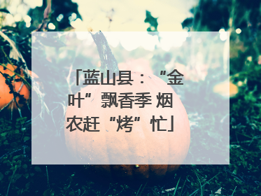 蓝山县：“金叶”飘香季 烟农赶“烤”忙