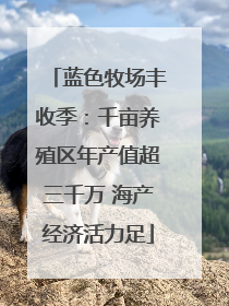 蓝色牧场丰收季：千亩养殖区年产值超三千万 海产经济活力足