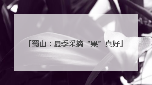 蜀山：夏季采摘“果”真好