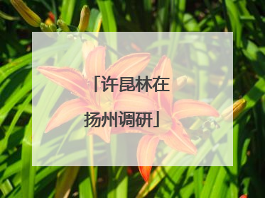许昆林在扬州调研